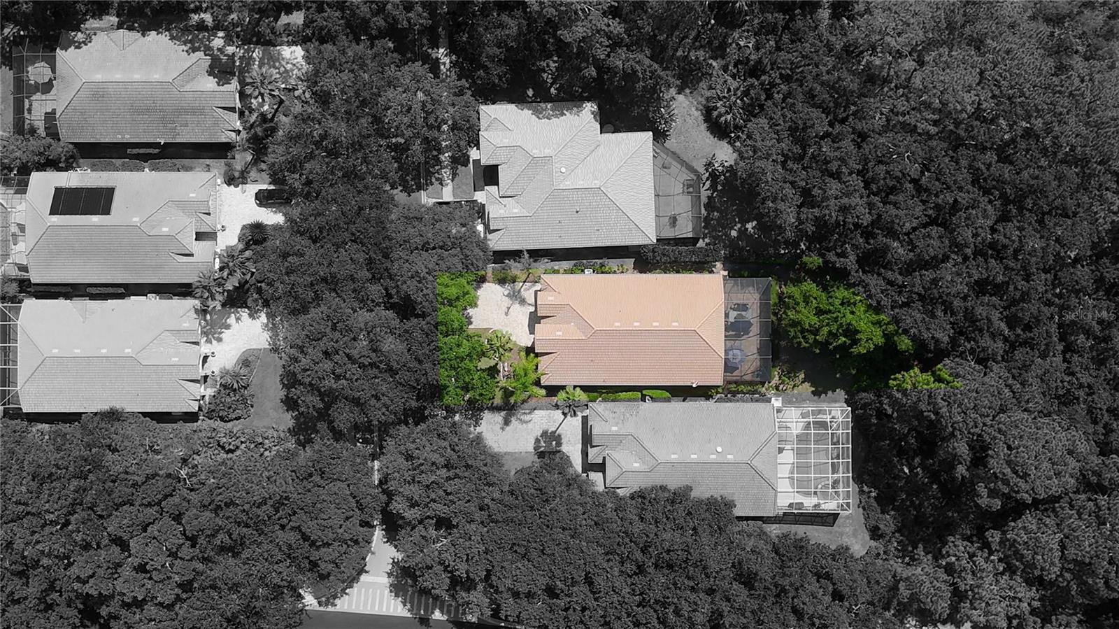 Listing image 48