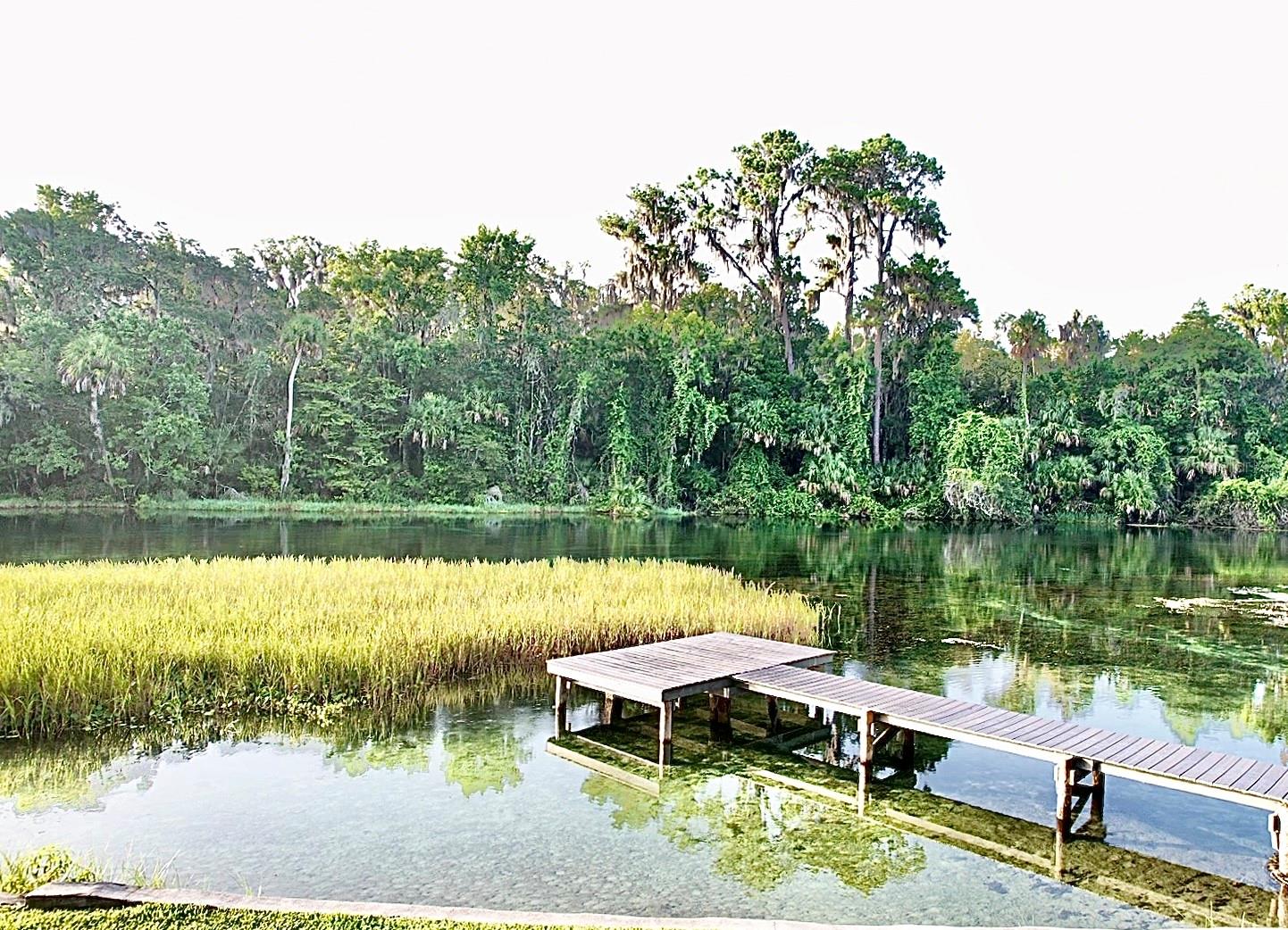 Listing image 51