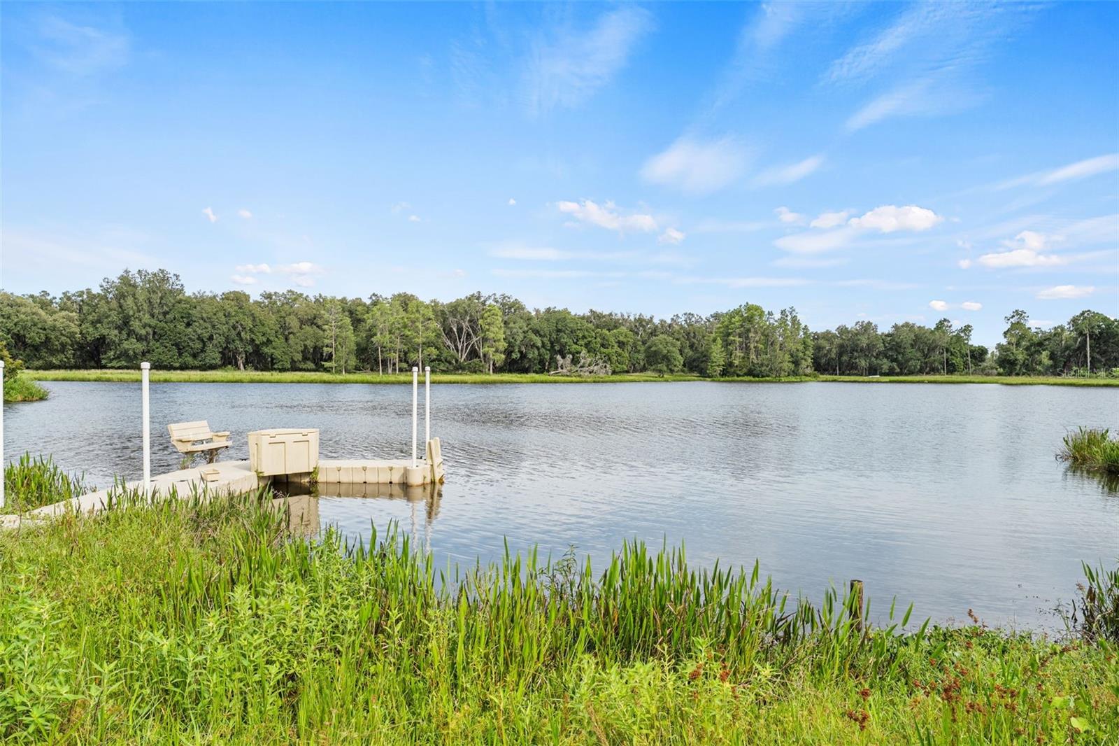 Listing image 72