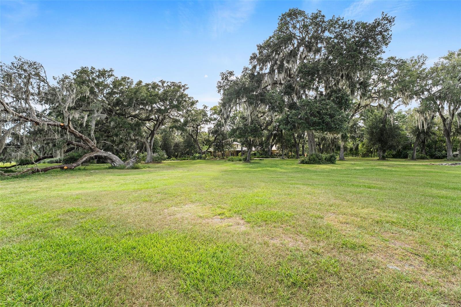 Listing image 73