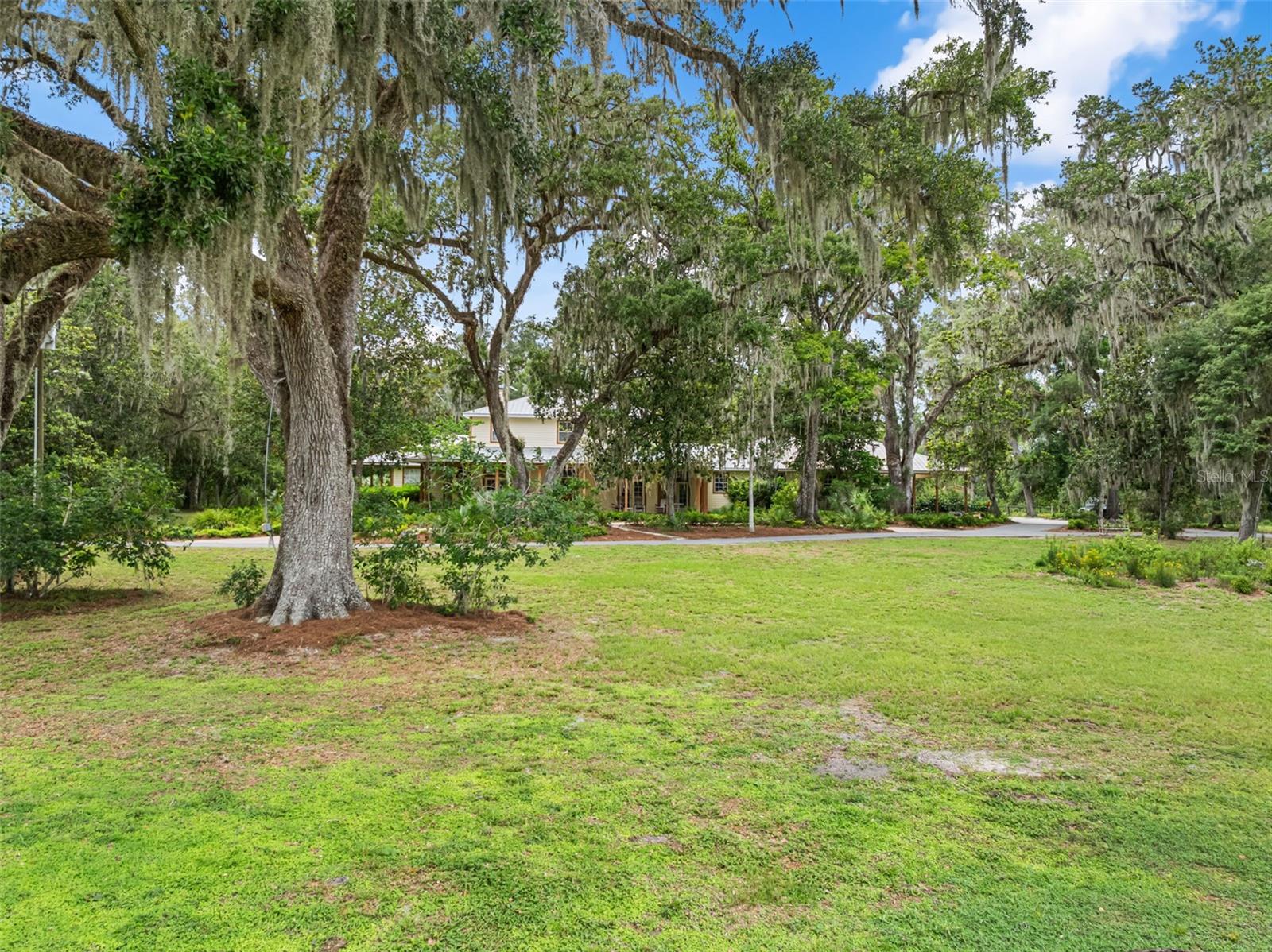Listing image 77