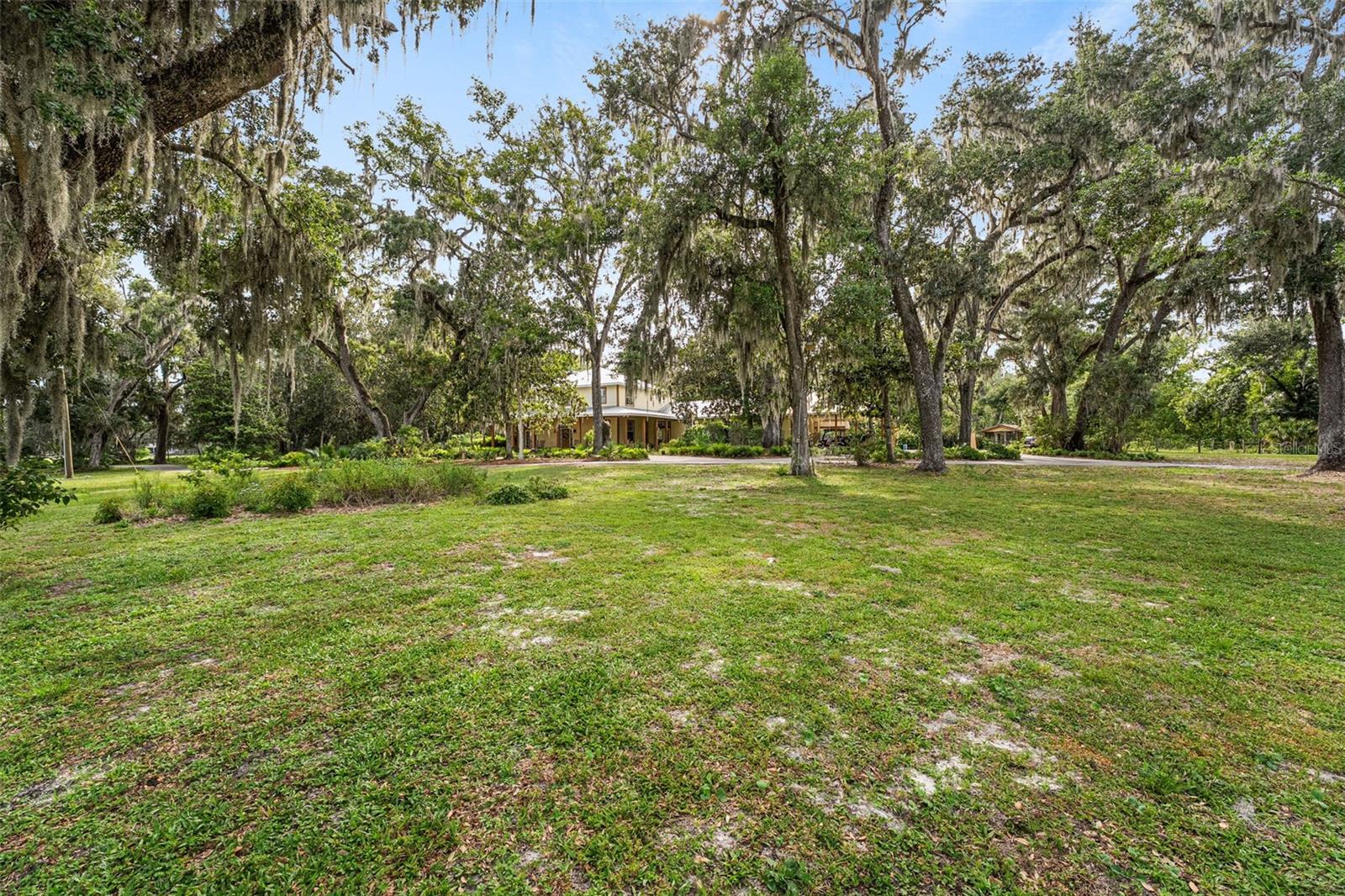 Listing image 78