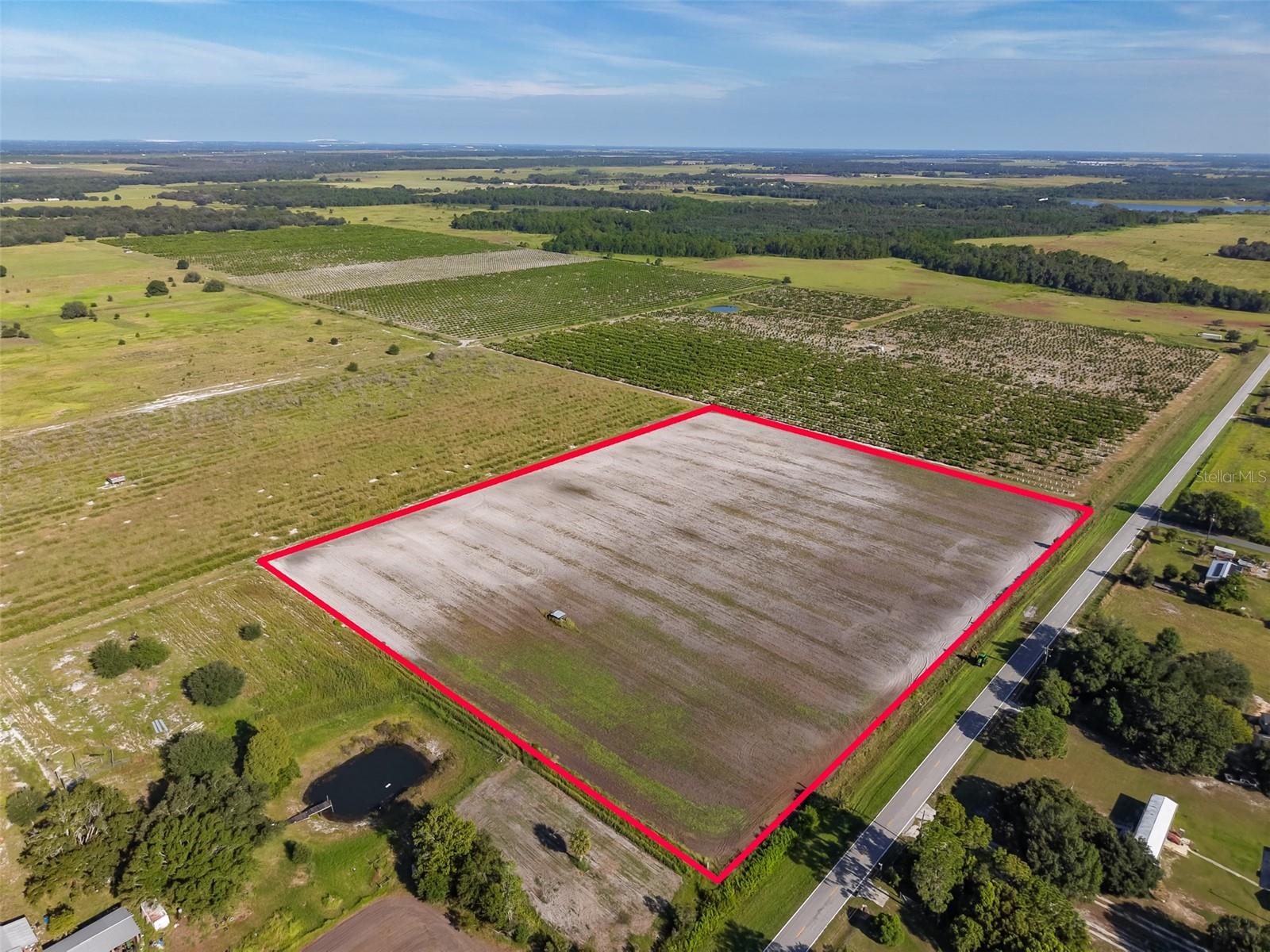 Listing image 6