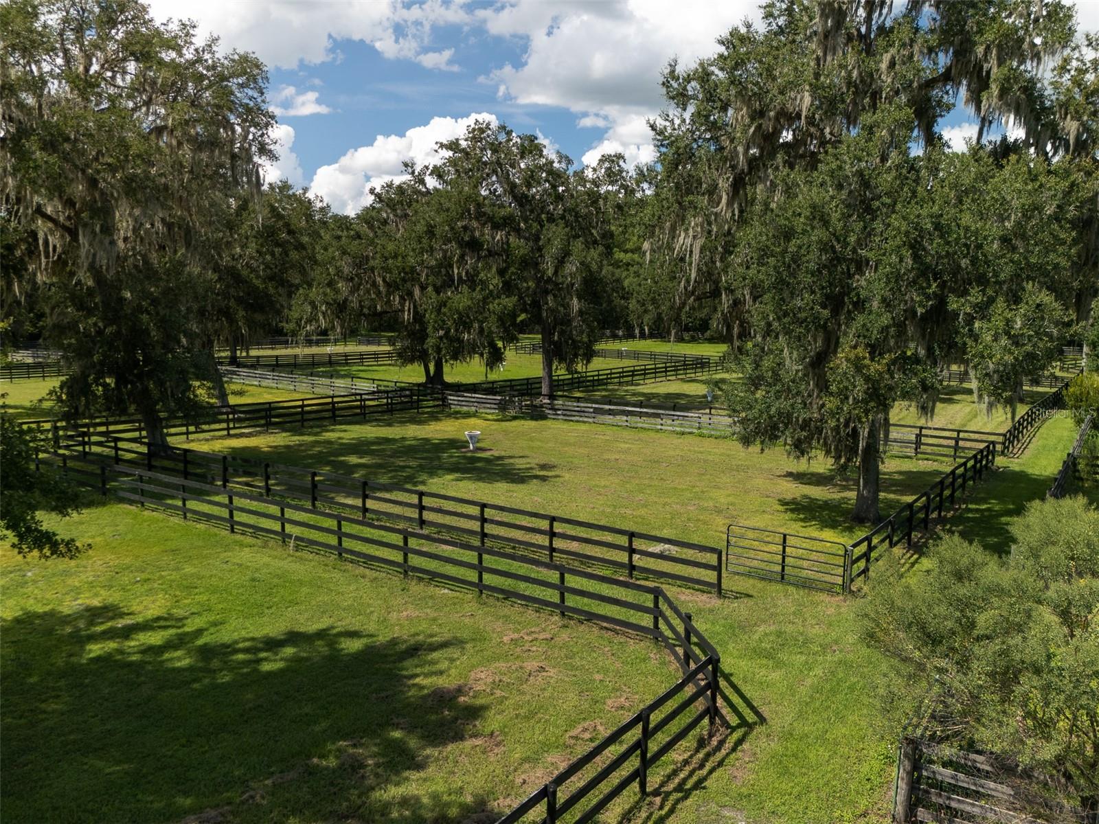 Listing image 43