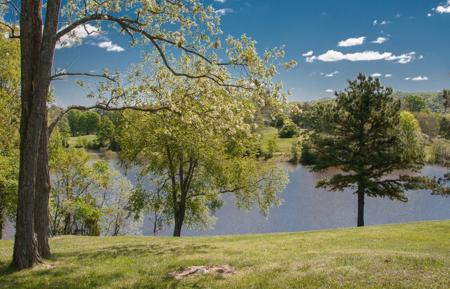 Prime Lake Front Land For Sale On South Holston Lake - image 28