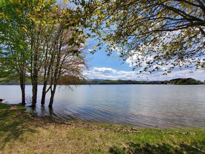 Prime Lake Front Land For Sale On South Holston Lake - image 6