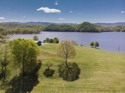 Prime Lake Front Land For Sale On South Holston Lake - image 15