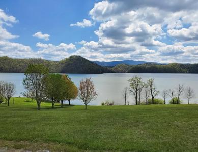 Prime Lake Front Land For Sale On South Holston Lake - image 1