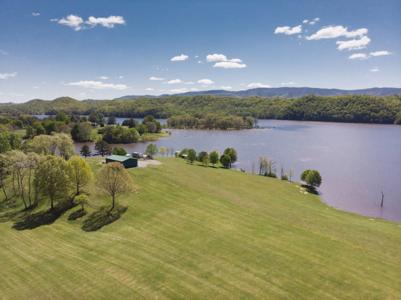 Prime Lake Front Land For Sale On South Holston Lake - image 12