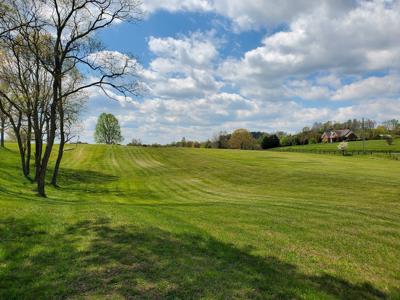 Prime Lake Front Land For Sale On South Holston Lake - image 9