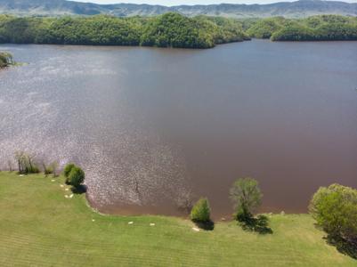 Prime Lake Front Land For Sale On South Holston Lake - image 24