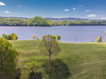 Prime Lake Front Land For Sale On South Holston Lake - image 13