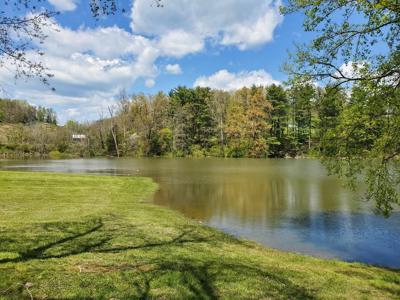 Prime Lake Front Land For Sale On South Holston Lake - image 8