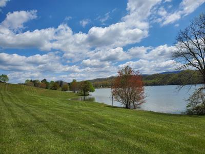 Prime Lake Front Land For Sale On South Holston Lake - image 4