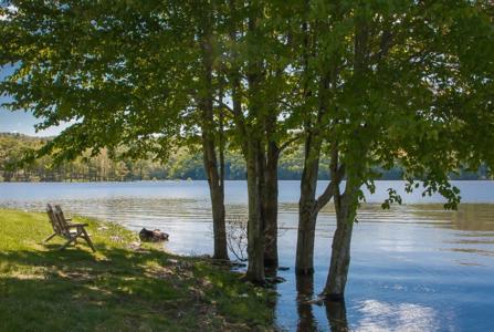 Prime Lake Front Land For Sale On South Holston Lake - image 27