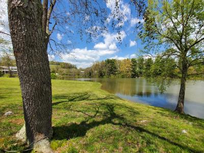 Prime Lake Front Land For Sale On South Holston Lake - image 7