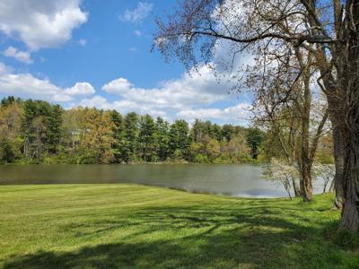 Prime Lake Front Land For Sale On South Holston Lake - image 10