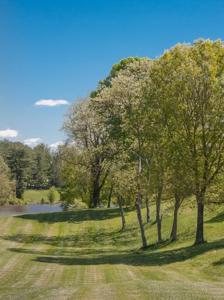 Prime Lake Front Land For Sale On South Holston Lake - image 26