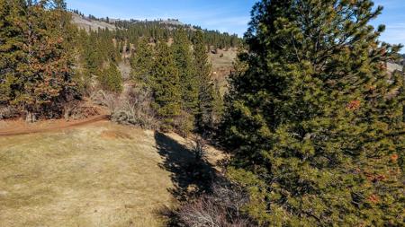 Lenore, Idaho, Land near Clearwater River, Mountain Views - image 9