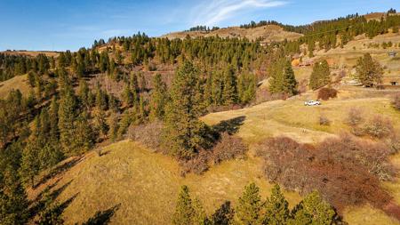 Lenore, Idaho, Land near Clearwater River, Mountain Views - image 8