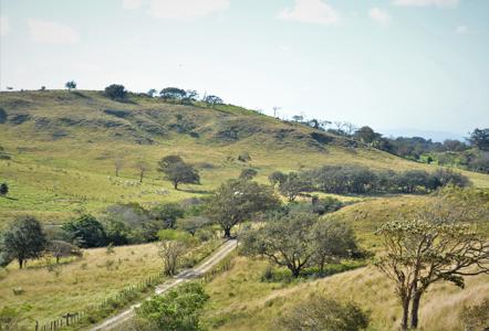 Costa Rica Ranch, Lodge and Adventure Park for sale - image 10