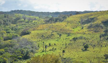 Costa Rica Ranch, Lodge and Adventure Park for sale - image 12