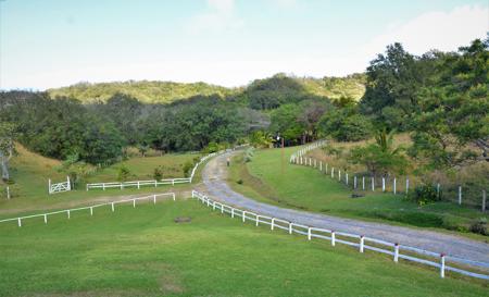 Costa Rica Ranch, Lodge and Adventure Park for sale - image 4