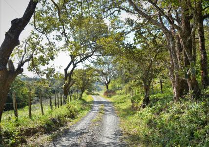 Costa Rica Ranch, Lodge and Adventure Park for sale - image 7