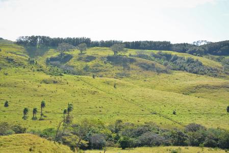 Costa Rica Ranch, Lodge and Adventure Park for sale - image 11