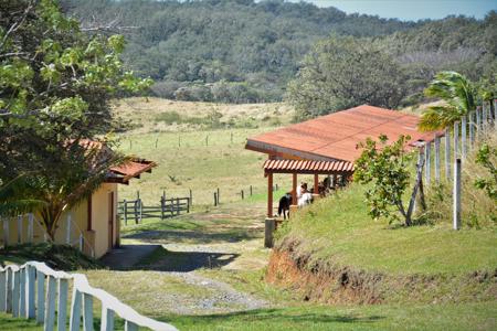 Costa Rica Ranch, Lodge and Adventure Park for sale - image 33