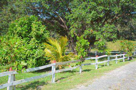 Costa Rica Ranch, Lodge and Adventure Park for sale - image 5