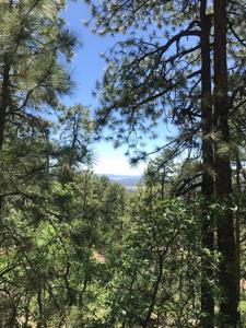 Mountain Land for Sale Chama NM Real Estate w Acreage - image 4