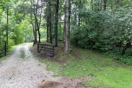 Private Bungalow in Mountain Retreat Spruce Pine NC - image 22