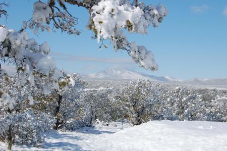 Lincoln County, Corona, New Mexico Horse Property For Sale - image 43