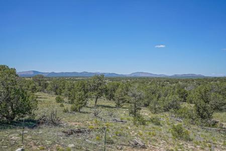 Lincoln County, Corona, New Mexico Horse Property For Sale - image 41