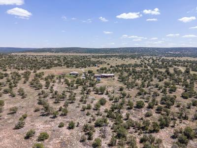 Lincoln County, Corona, New Mexico Horse Property For Sale - image 3