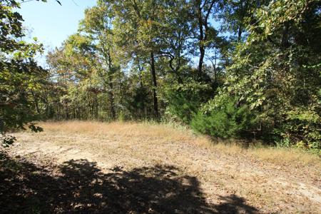 Wappapello MO land for sale - image 1