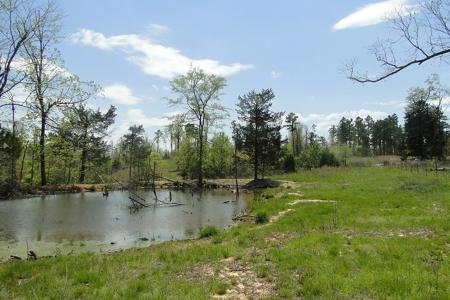 Arkansas Hunting Acreage/Farm For Sale With Creek - image 20