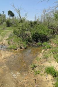 Arkansas Hunting Acreage/Farm For Sale With Creek - image 1