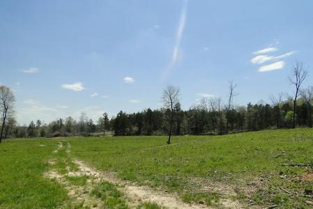 Arkansas Hunting Acreage/Farm For Sale With Creek - image 24