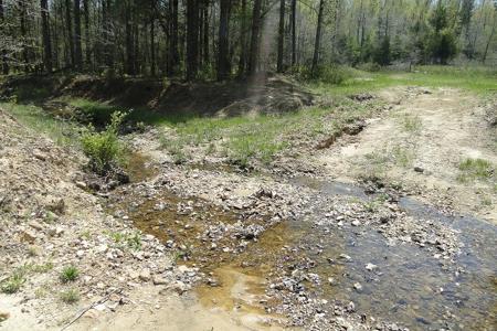 Arkansas Hunting Acreage/Farm For Sale With Creek - image 2