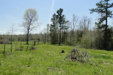 Arkansas Hunting Acreage/Farm For Sale With Creek - image 18