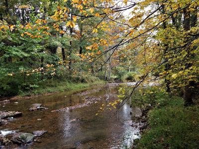 Tn. Historic Home, 6 Acres Land with Creek For Sale!! - image 6