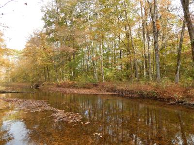 Tn. Historic Home, 6 Acres Land with Creek For Sale!! - image 8