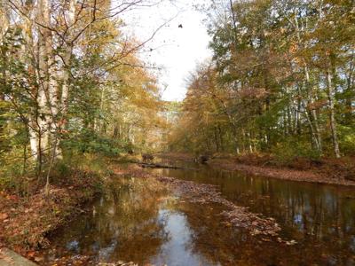 Tn. Historic Home, 6 Acres Land with Creek For Sale!! - image 9