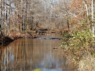 Tn. Historic Home, 6 Acres Land with Creek For Sale!! - image 3