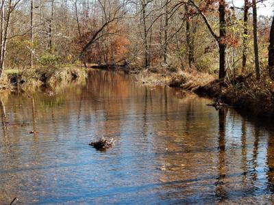 Tn. Historic Home, 6 Acres Land with Creek For Sale!! - image 2