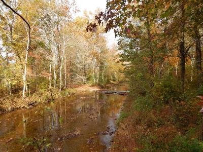 Tn. Historic Home, 6 Acres Land with Creek For Sale!! - image 1