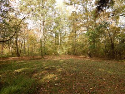 Tn. Historic Home, 6 Acres Land with Creek For Sale!! - image 17