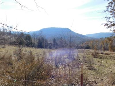 Newton County Shop Creek Land For Sale Parthenon Valley - image 2